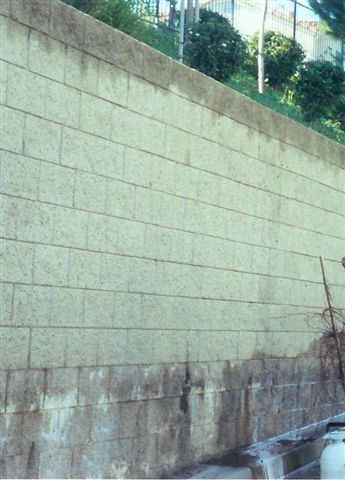 Dutchman Pressure Washingg